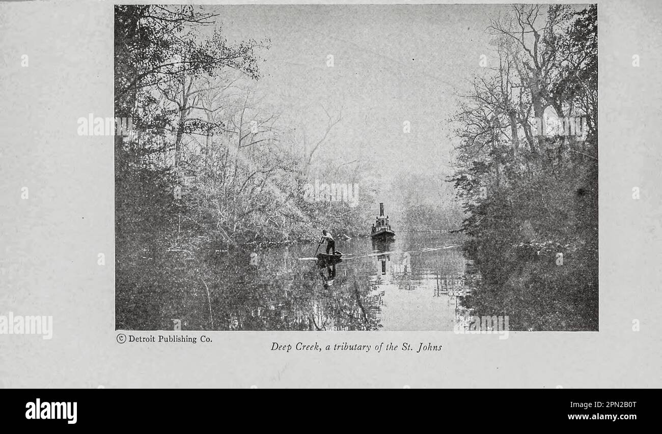 Deep Creek, a Tributary of the St. Johns from the book ' Highways and byways of Florida; human interest information for travellers in Florida ' by Clifton Johnson, 1865-1940 Publication date 1918 Publisher New York, The Macmillan company; Stock Photo