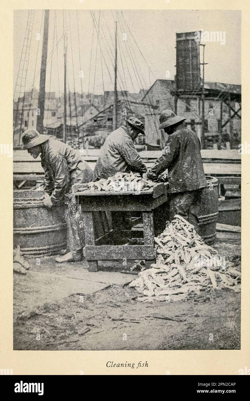 Cleaning Fish historic photography from the book  Highways and byways of New England, including the states of Massachusetts, New Hampshire, Rhode Island, Connecticut, Vermont and Maine by Clifton Johnson, 1865-1940 Publication date 1915 Publisher New York, The Macmillan Company; London, Macmillan and Co., Limited Stock Photo
