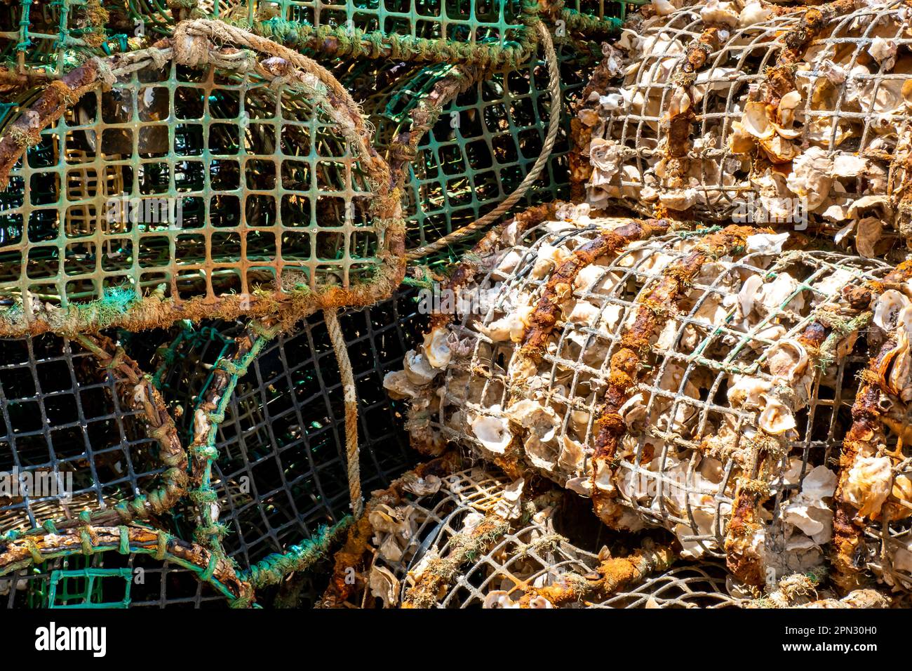 Stack of lobster traps create a contrast between the dirty used traps and their clean washed counterparts, showcasing the varying stages. Stock Photo