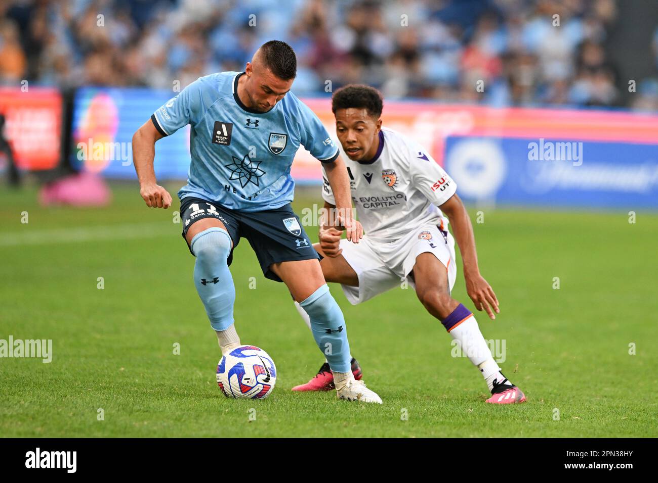 Sydney, Australia. 16th Apr, 2023. Robert Mak (L) of Sydney Football Club team and Antonee Alan Burke-Gilroy (R) of Perth Glory team in action during the 2022-23 Liberty A-League Men's soccer semi-final match between Sydney FC and Western United held at the Allianz Stadium. final score; Sydney football club 3:1 Perth glory Credit: SOPA Images Limited/Alamy Live News Stock Photo