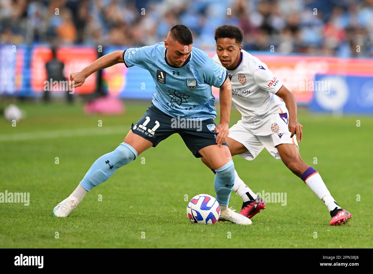Sydney, Australia. 16th Apr, 2023. Robert Mak (L) of Sydney Football Club team and Antonee Alan Burke-Gilroy (R) of Perth Glory team in action during the 2022-23 Liberty A-League Men's soccer semi-final match between Sydney FC and Western United held at the Allianz Stadium. final score; Sydney football club 3:1 Perth glory Credit: SOPA Images Limited/Alamy Live News Stock Photo
