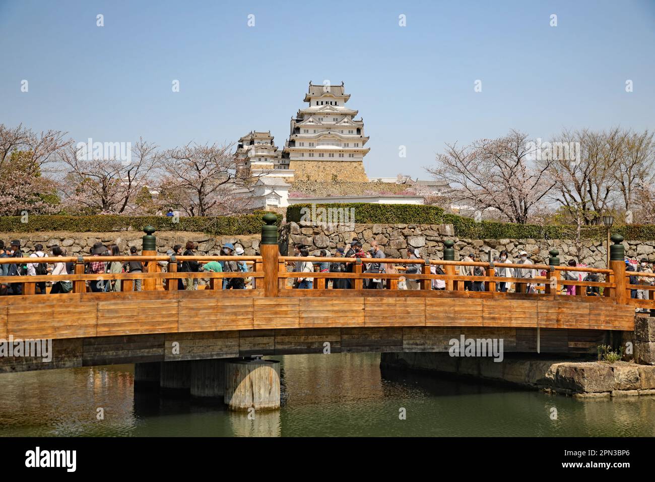 Himeji Castle And Cherry Blossom, Japan Stock Photo Alamy