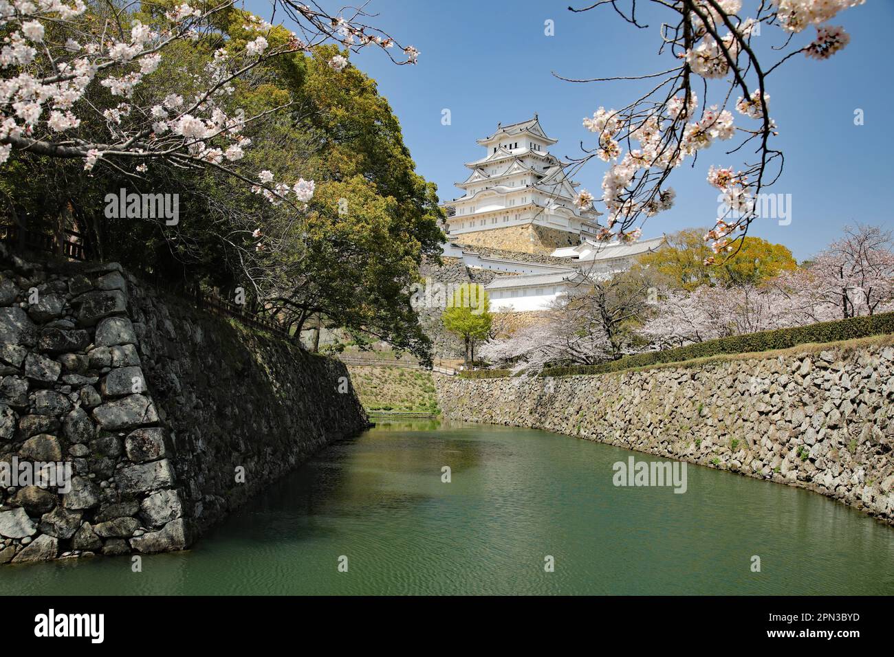 Himeji Castle And Cherry Blossom, Japan Stock Photo Alamy