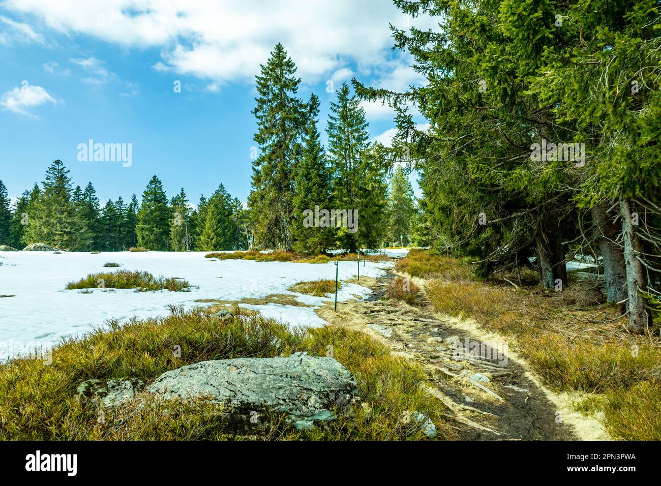 Spring hike in the Bavarian Forest from the Großer Arbersee to the ...
