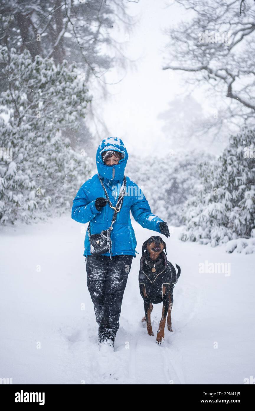Cold weather uk hires stock photography and images Alamy