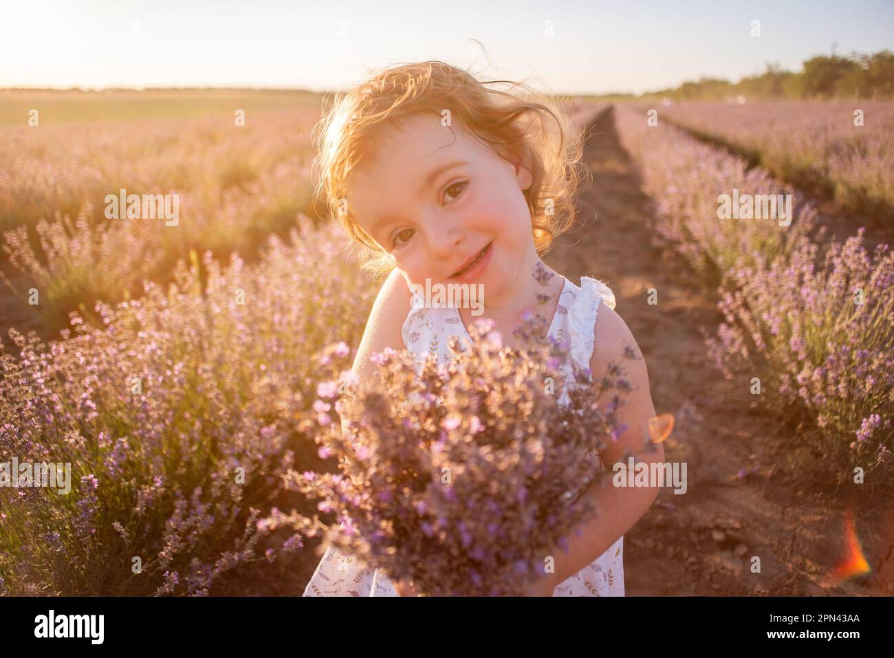 Close-up portrait of little girl in flower dress holding bouquet with purple lavender at sunset. Child stands among the rows in field. Walk in country Stock Photo