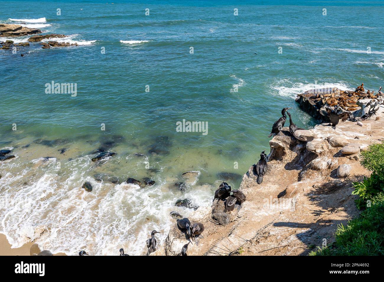 Coastline of La Jolla Stock Photo