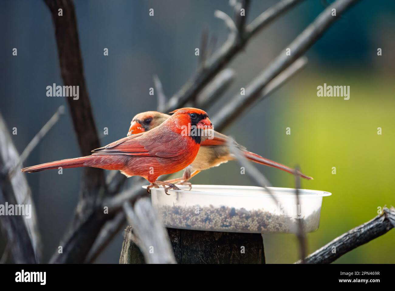 Northern Cambria, Pennsylvania visual data 7