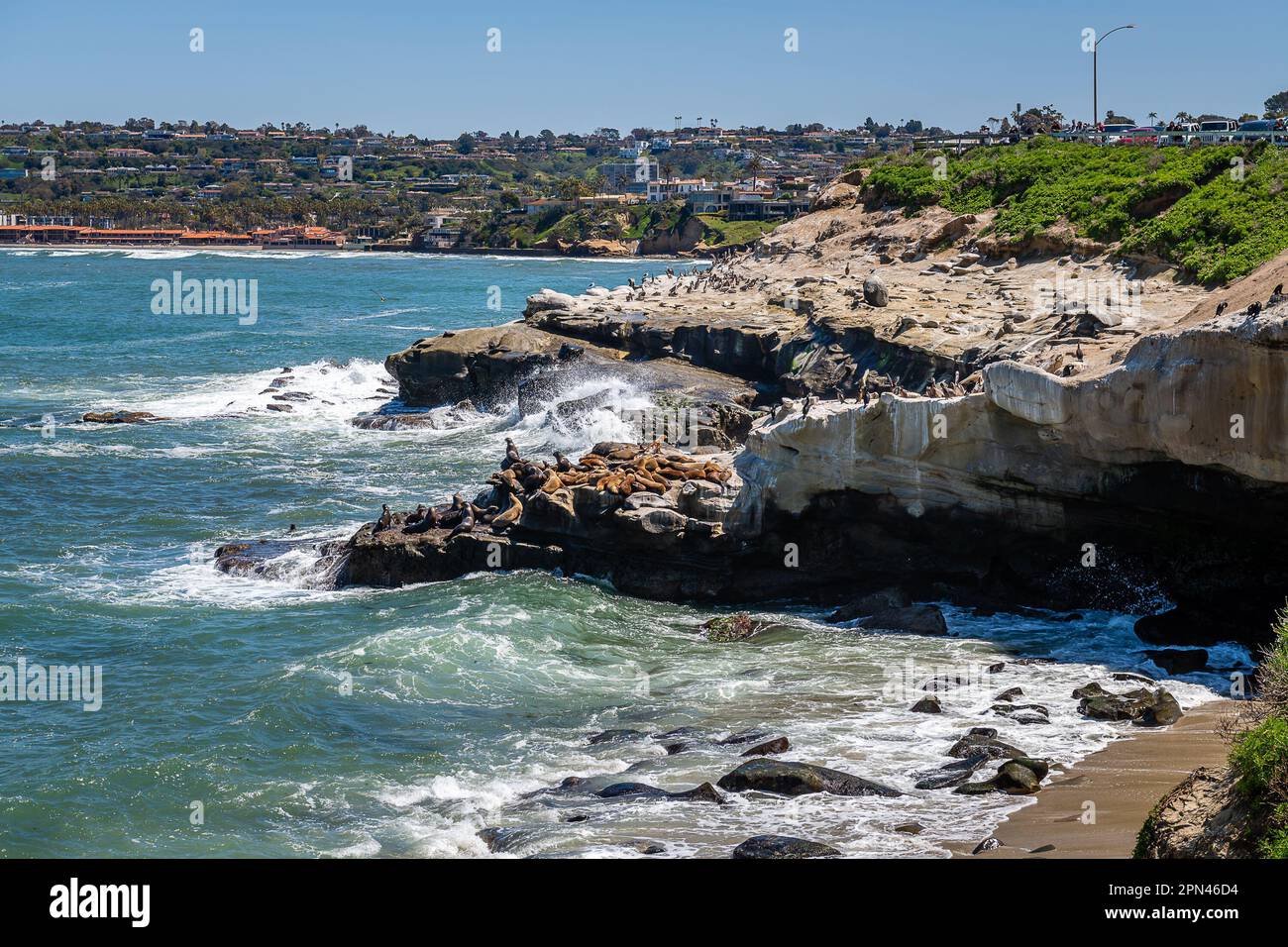 Coastline of La Jolla Stock Photo