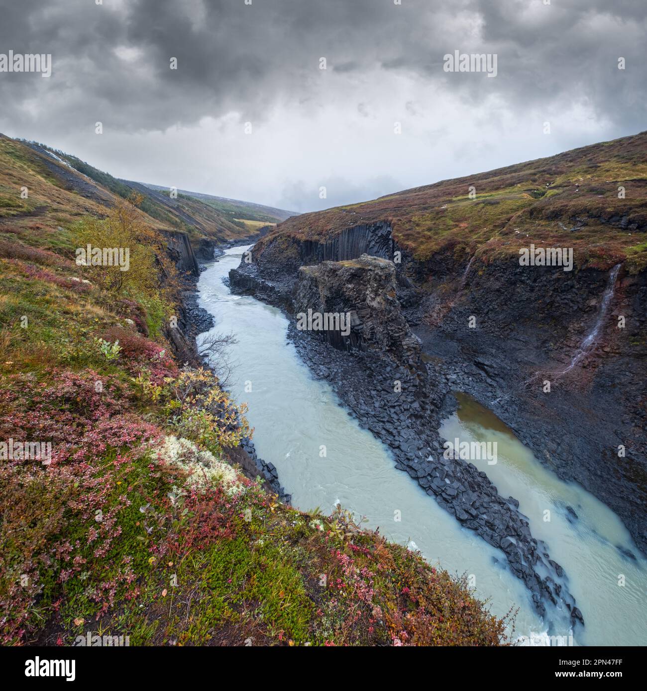 Autumn  picturesque Studlagil canyon is a ravine in Jokuldalur, Eastern Iceland. Famous columnar basalt rock formations and Jokla river runs through i Stock Photo