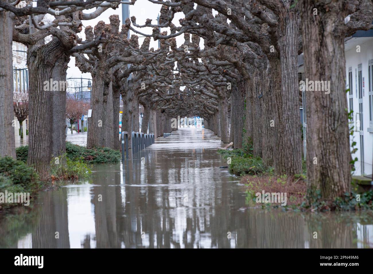 Das erste Jahreshochwasser am Rhein nahe des Pegelhöchstandes. Königswinter, 04.02.2021 Stock Photo