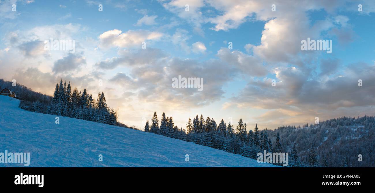 Evening sky with yellow clouds over winter Ukrainian Carpathian Mountains. Stock Photo