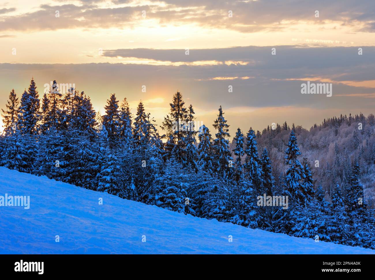 Evening sky with yellow clouds over winter Ukrainian Carpathian Mountains. Stock Photo