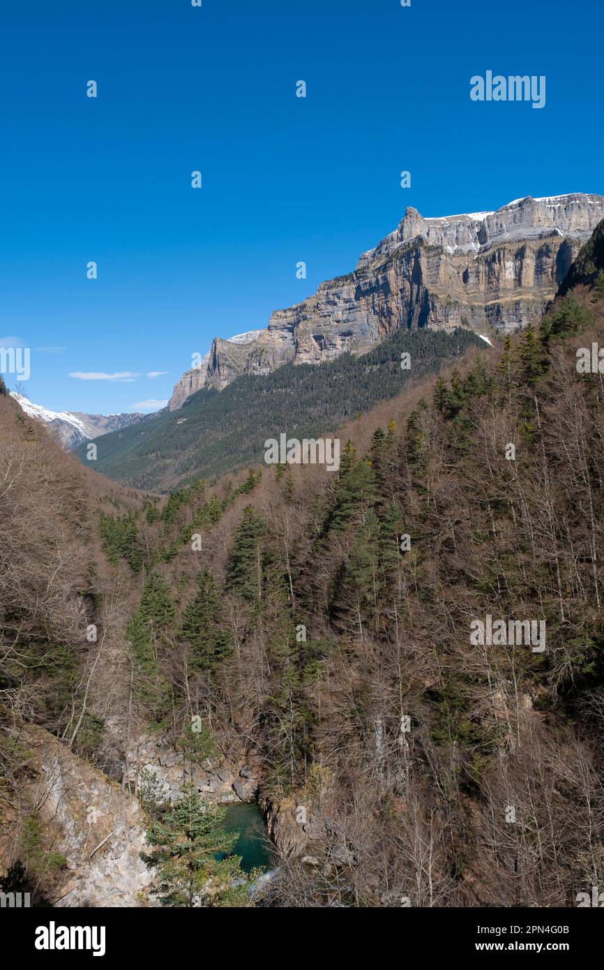mountain landscape with a forest and river in the foreground and large steep mountains with some snow, Ordesa and Monteperdido National Park, vertical Stock Photo