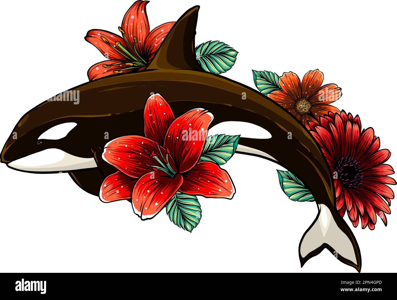 Killer Whale jumping out of water vector illustration isolated on white ...