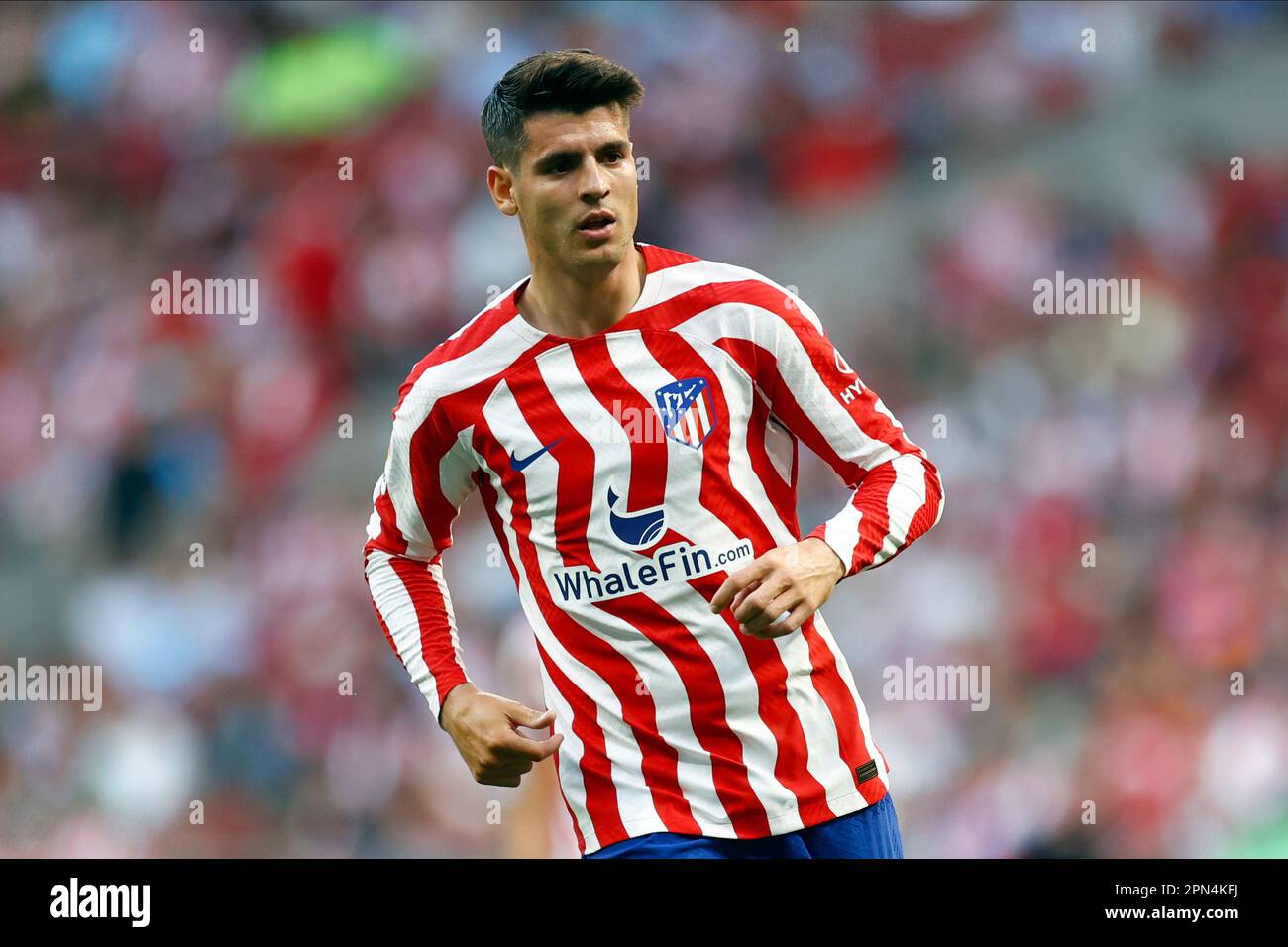 Atlético Madrid Live Online Álvaro Morata How Key Absences Could Change the Game Plan