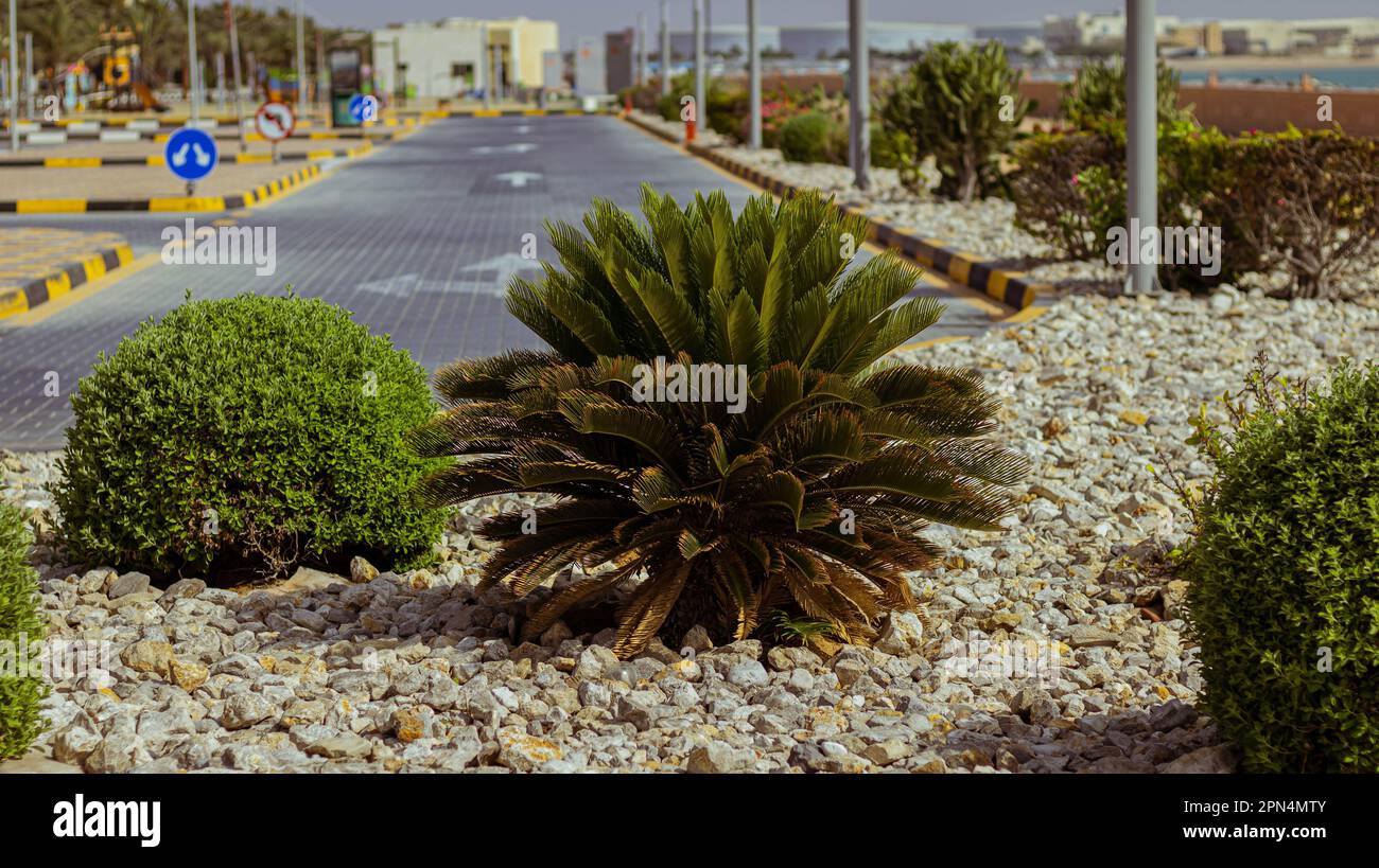 Marian island nature Stock Photo