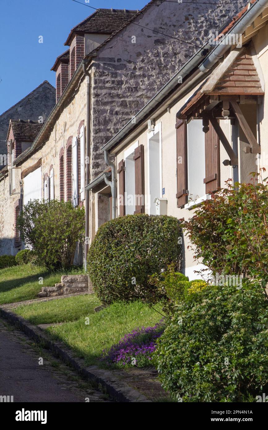 Flagy: local homeowners turn stone pavements into plant-filled, grassy areas which is a very unusual practice in France Stock Photo