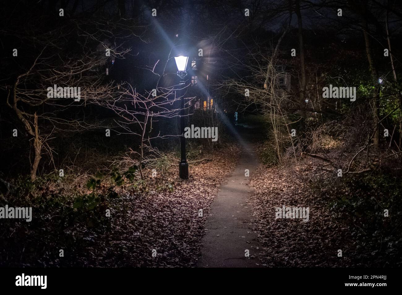 Hampstead Heath at night, London, UK Stock Photo