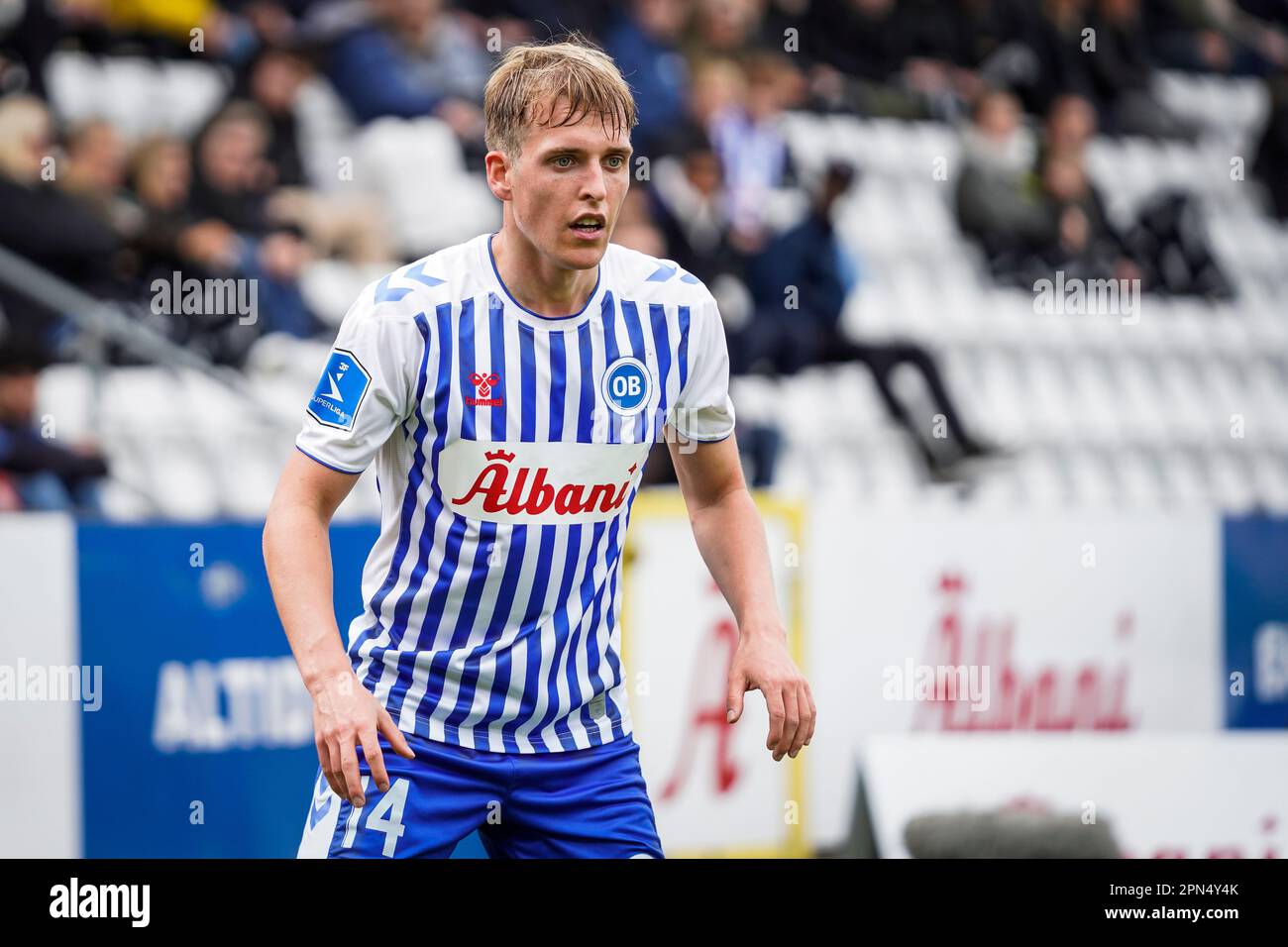 Odense, Denmark. 16th Apr, 2023. Gustav Grubbe (14) of OB seen during the 3F Superliga match between Odense Boldklub and Silkeborg IF at Nature Energy Park in Odense. (Photo Credit: Gonzales Photo/Alamy Odense, Denmark. 16th Apr, 2023. Gustav Grubbe (14) of OB seen during the 3F Superliga match between Odense Boldklub and Silkeborg IF at Nature Energy Park in Odense. (Photo Credit: Gonzales Photo/Alamy