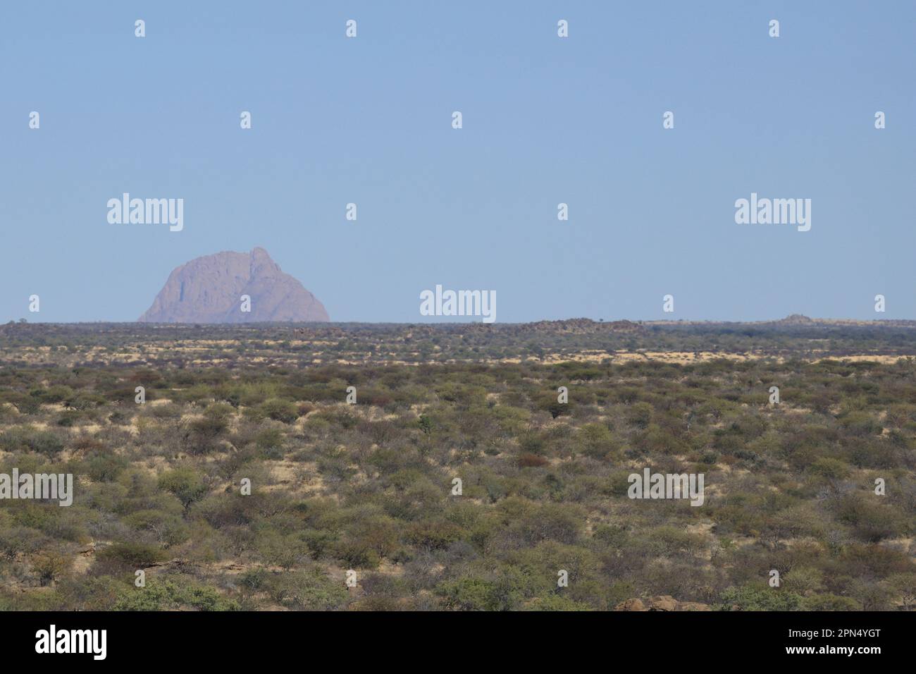 Rongo rongo hi-res stock photography and images - Alamy