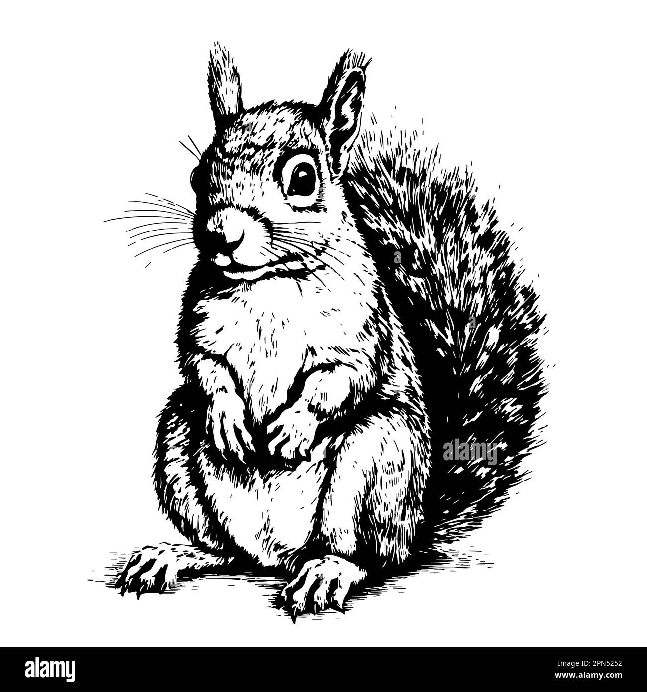 Illustration Cute Squirrel Bowing Stock Illustration 2184883867 |  Shutterstock