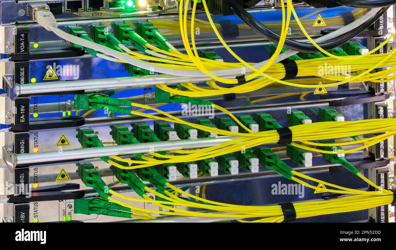 Multi Colored Network Cables Connected to Switch, network technology