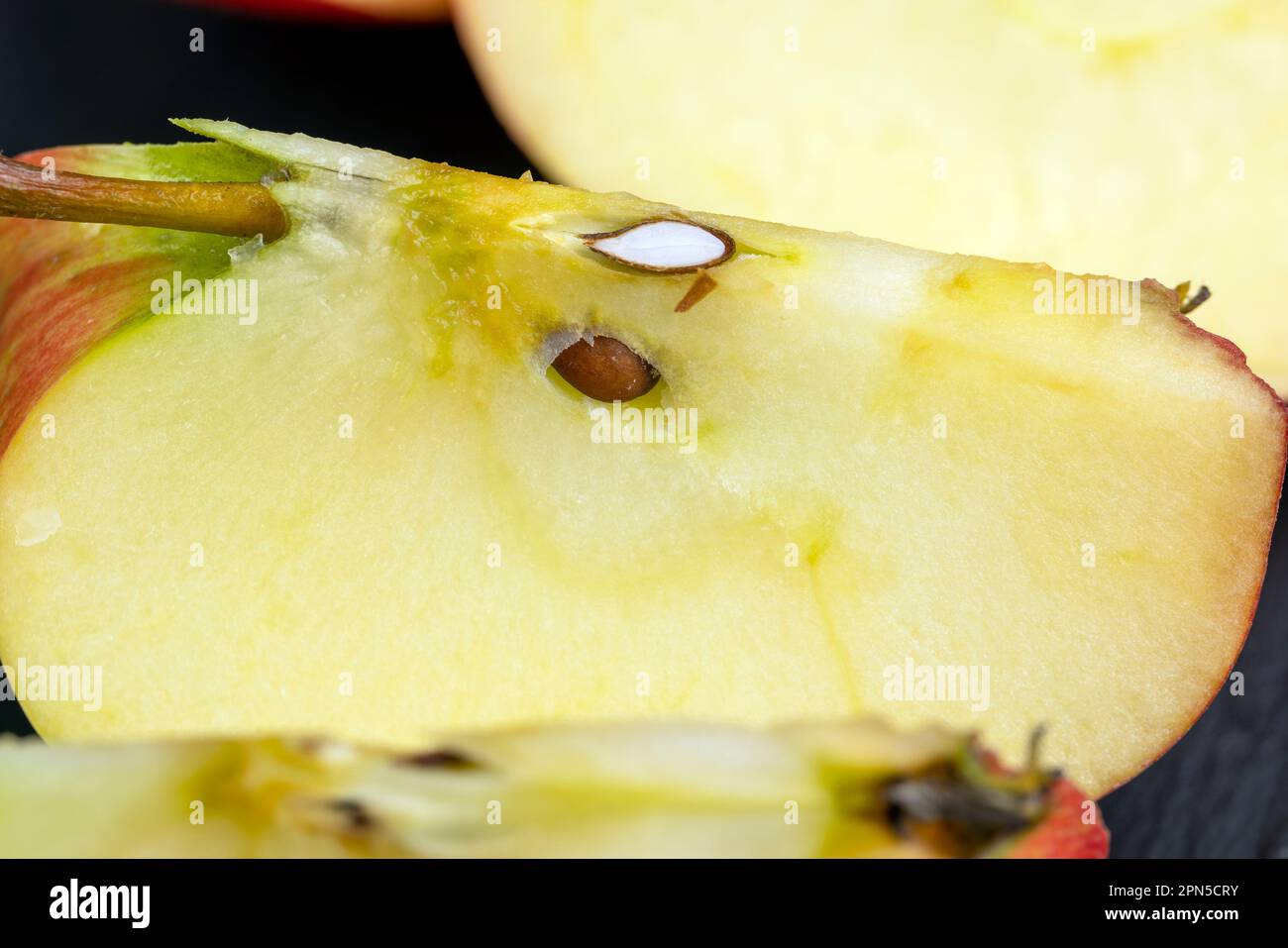 the flaccid peel of a peeled apple on the table, the peel of peeled