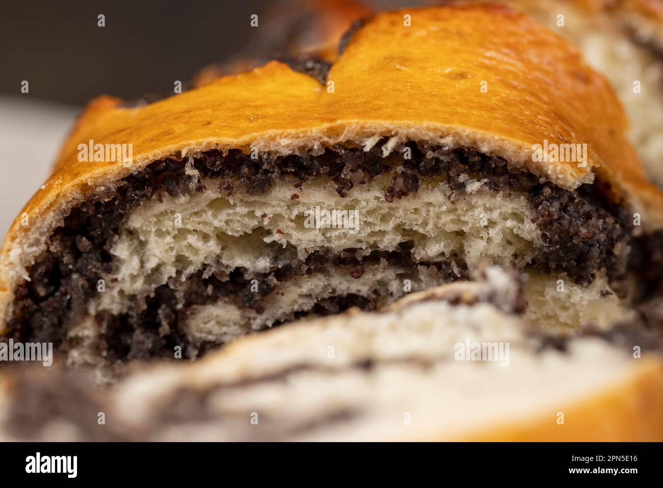 Wheat bun with poppy seed filling, a large amount of sweet poppy seed