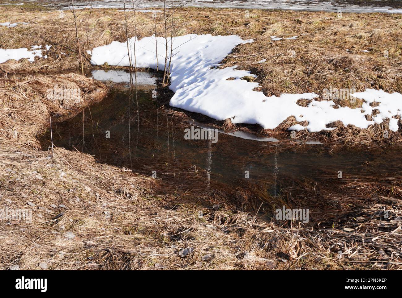 High angle small tree hi-res stock photography and images - Alamy