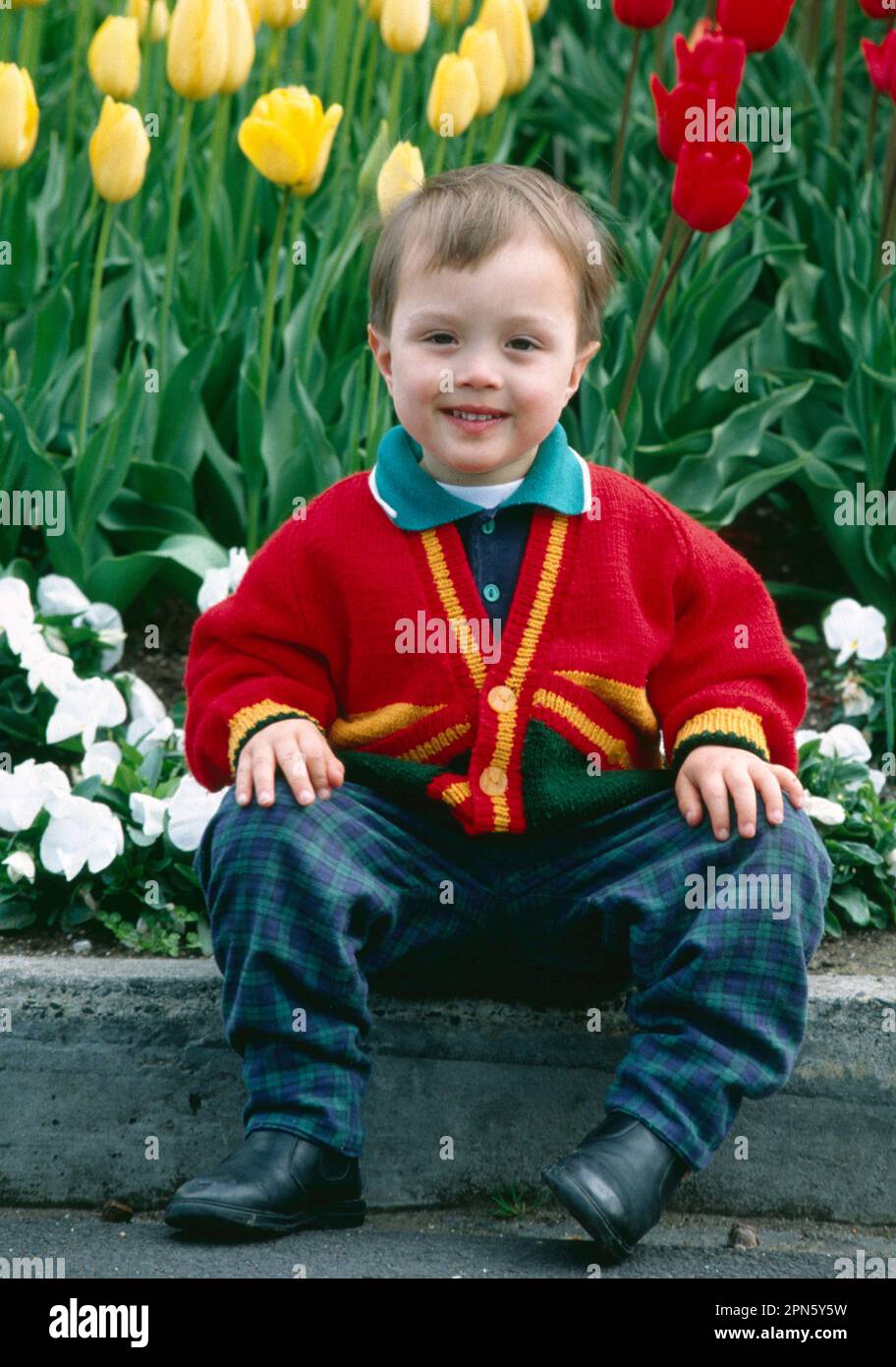 Cute 3 year old boy hires stock photography and images Alamy