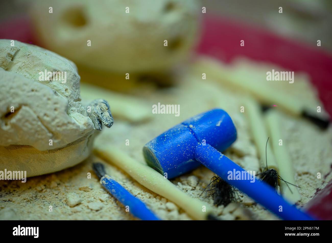 plaster of paris dinosaur eggs with excavation tools for youth fun