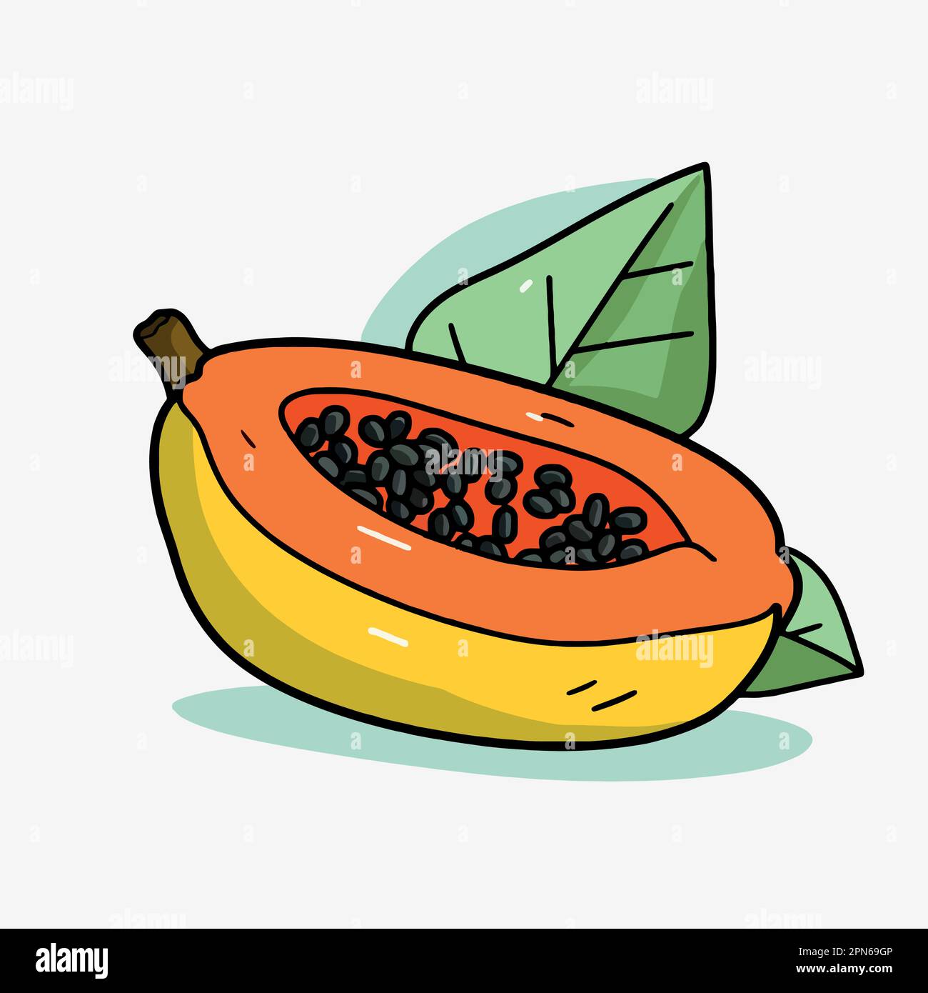 papaya fruit cut in half minimalist vector illustration Stock Vector