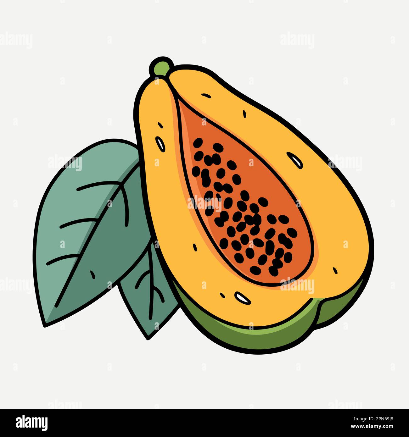 papaya fruit cut in half minimalist vector illustration Stock Vector