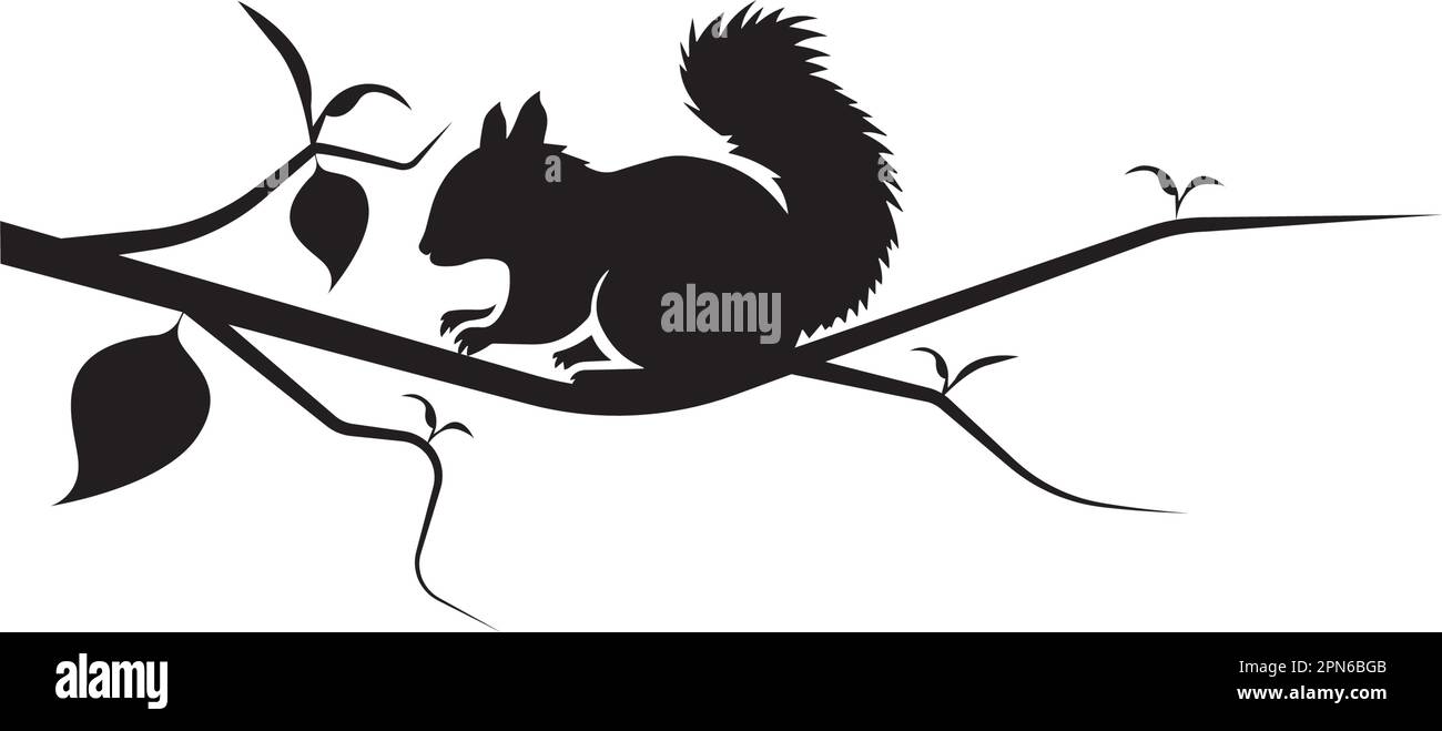 Squirrel silhouette on branch, vector. Wall decals, wall artwork