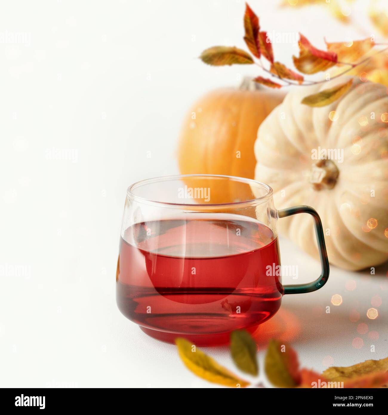 Class cup with autumn tea on white background with pumpkins and autumn leaves, front view Stock Photo