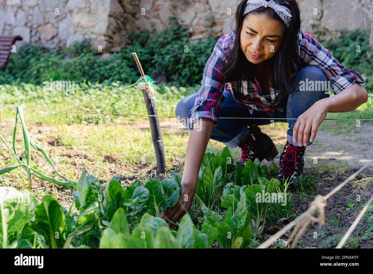 Beautiful latina woman in garden hi-res stock photography and images ...