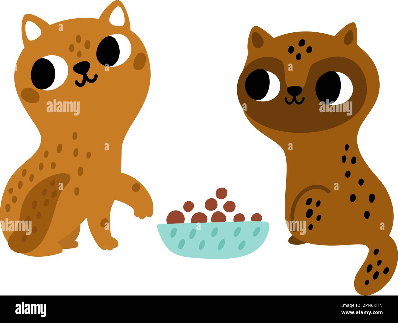 Cats breed. Kittens eat feed from bowl. Siamese purebred kitty