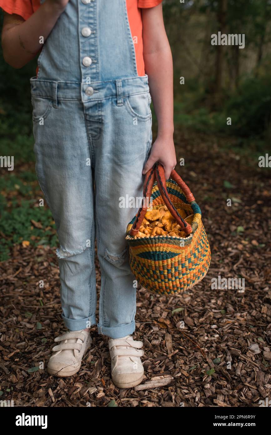 Girl holding basket of mushrooms in the woods Stock Photo