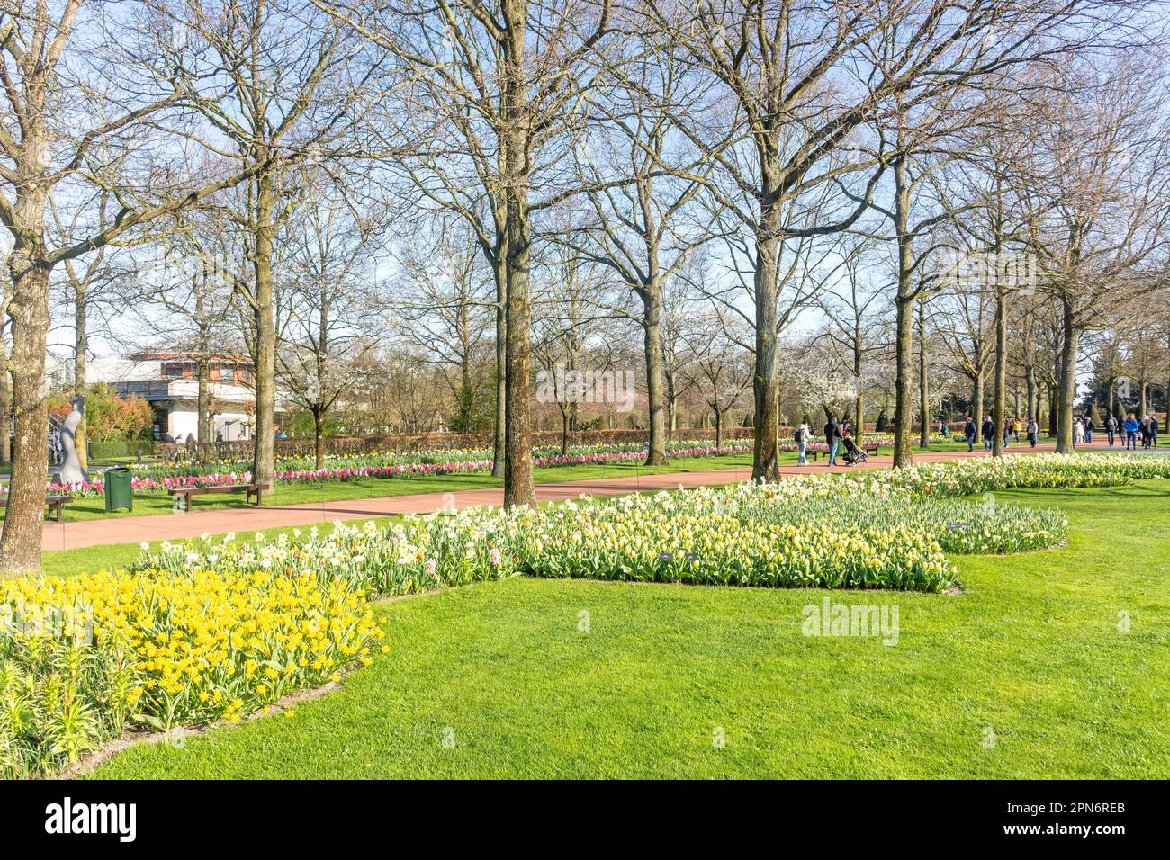 Keukenhof Gardens, Lisse, South Holland (Zuid-Holland), Kingdom of the Netherlands Stock Photo