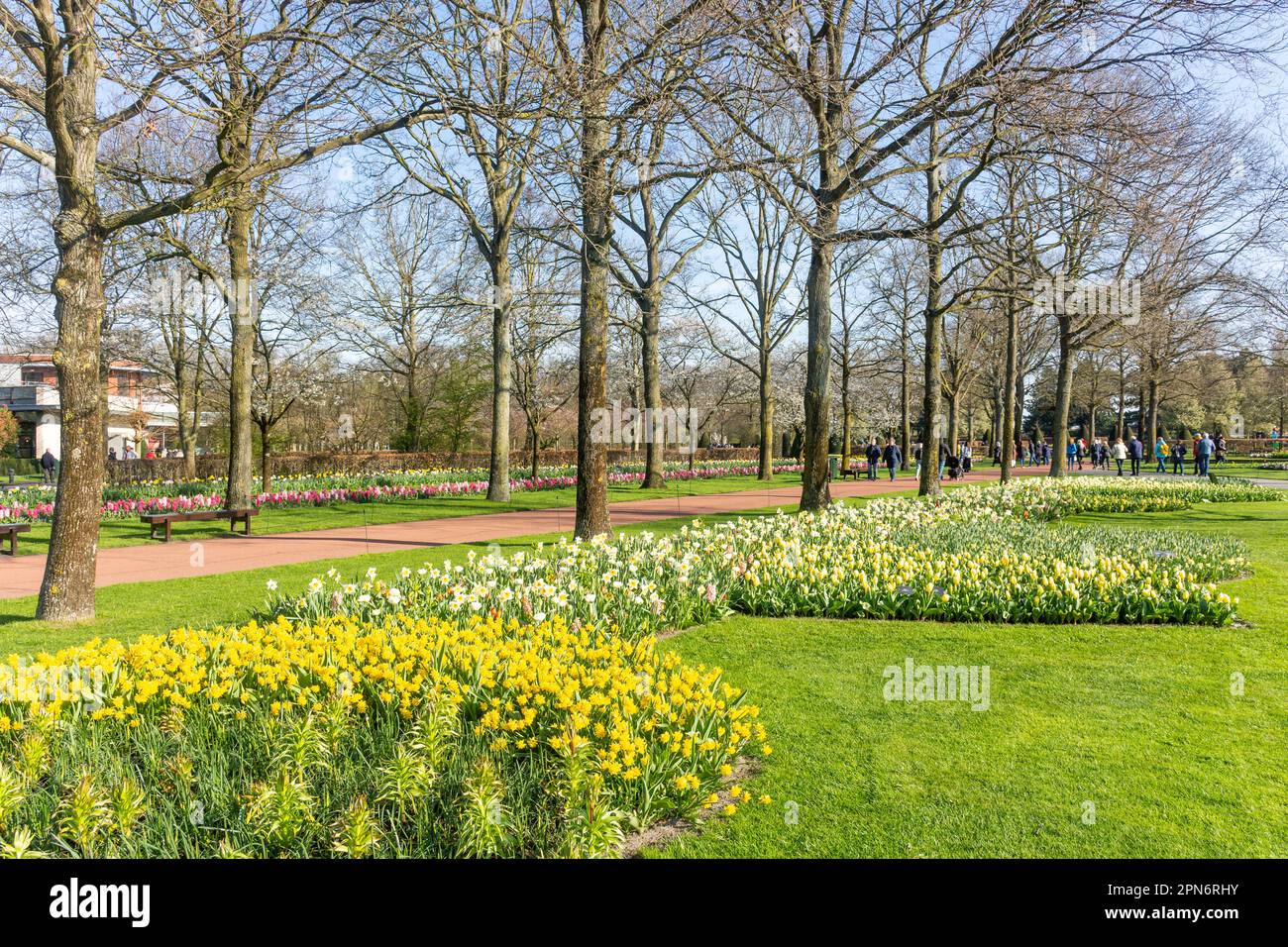 Keukenhof Gardens, Lisse, South Holland (Zuid-Holland), Kingdom of the Netherlands Stock Photo