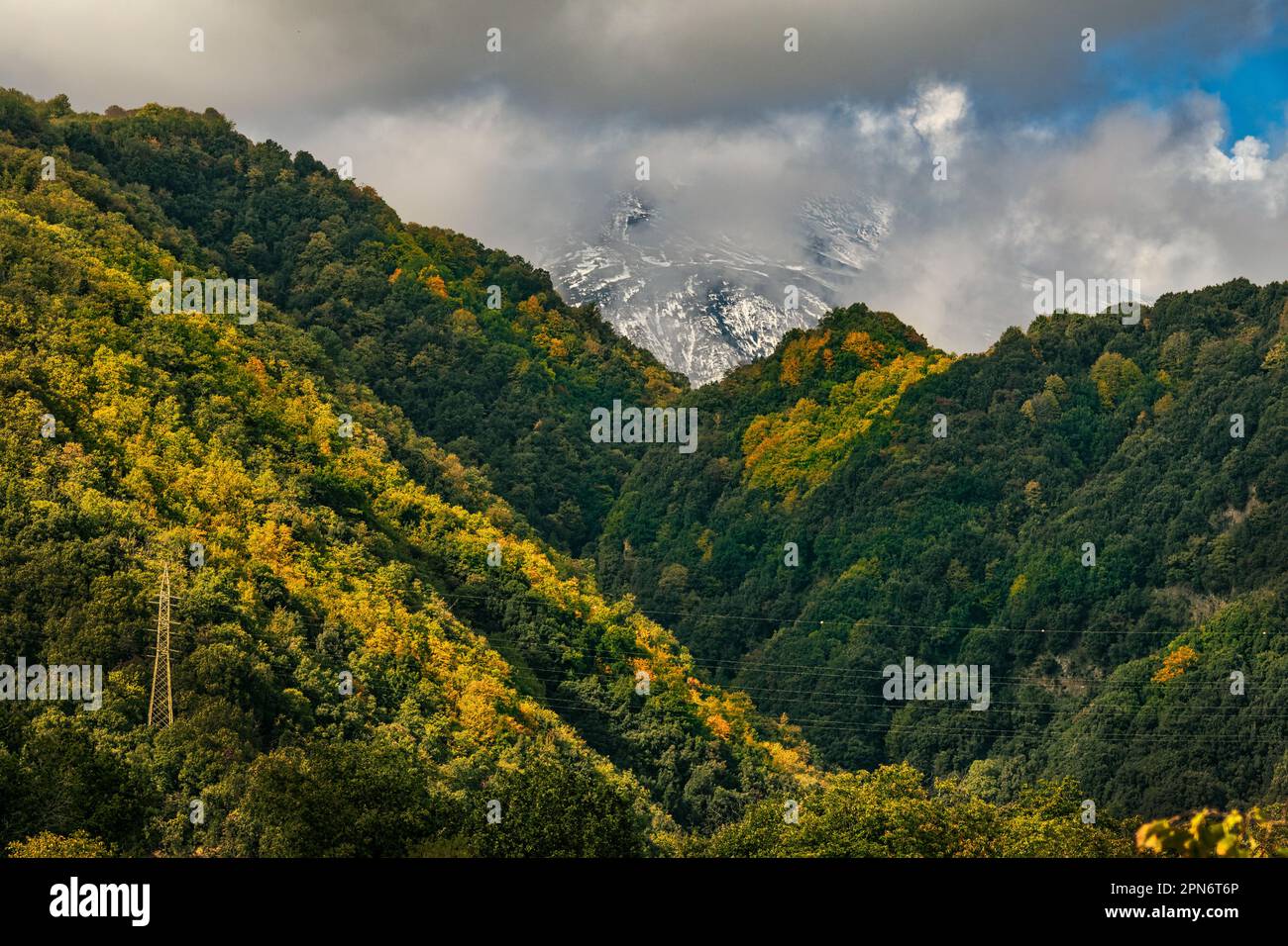 Larch pine, chestnut, oak and beech woods on the slopes of the Etna National Park. In the background the snow-capped peak of the volcano. Sicily Stock Photo