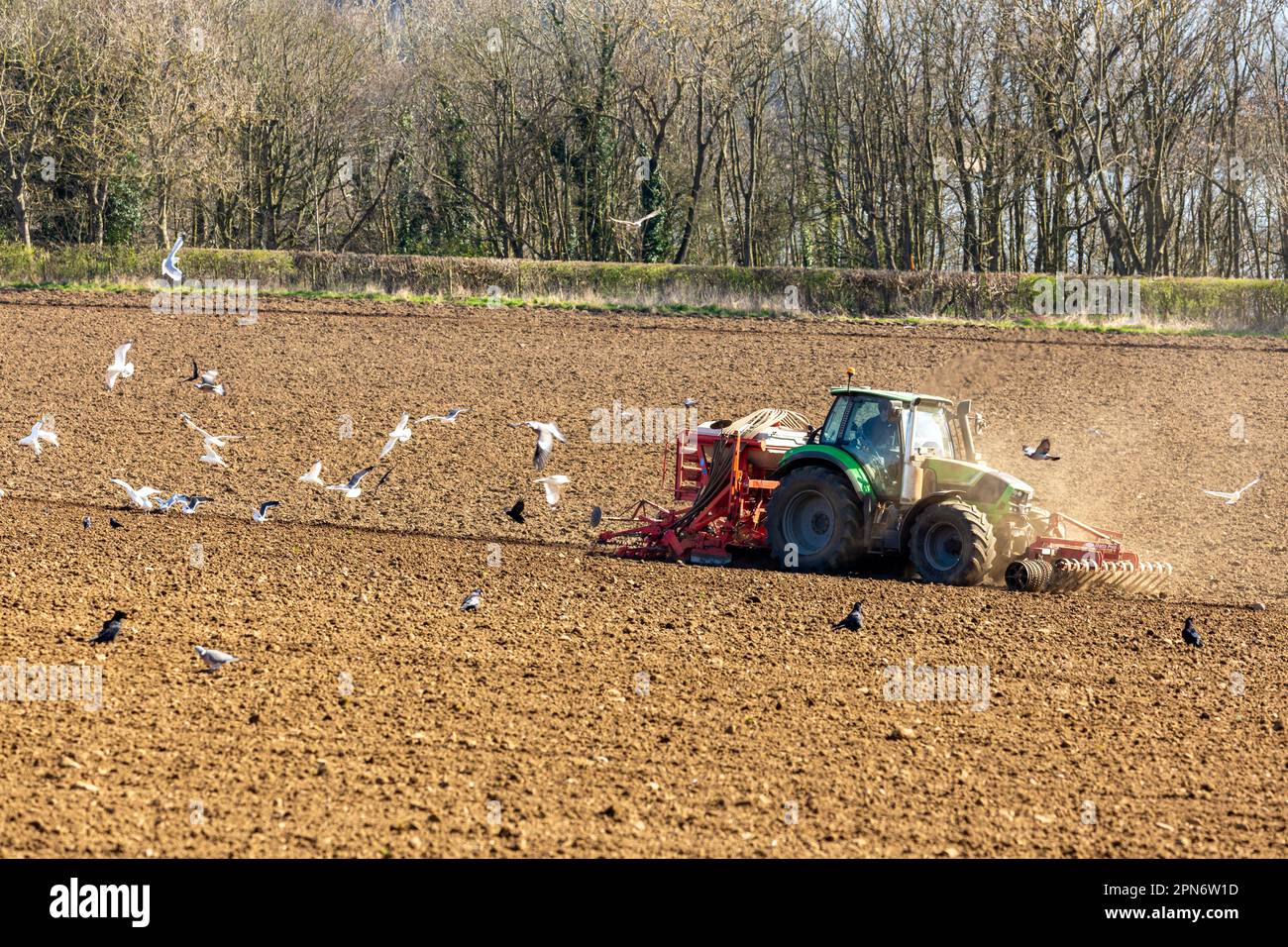 A tractor at work in a Scottish field. Stock Photo