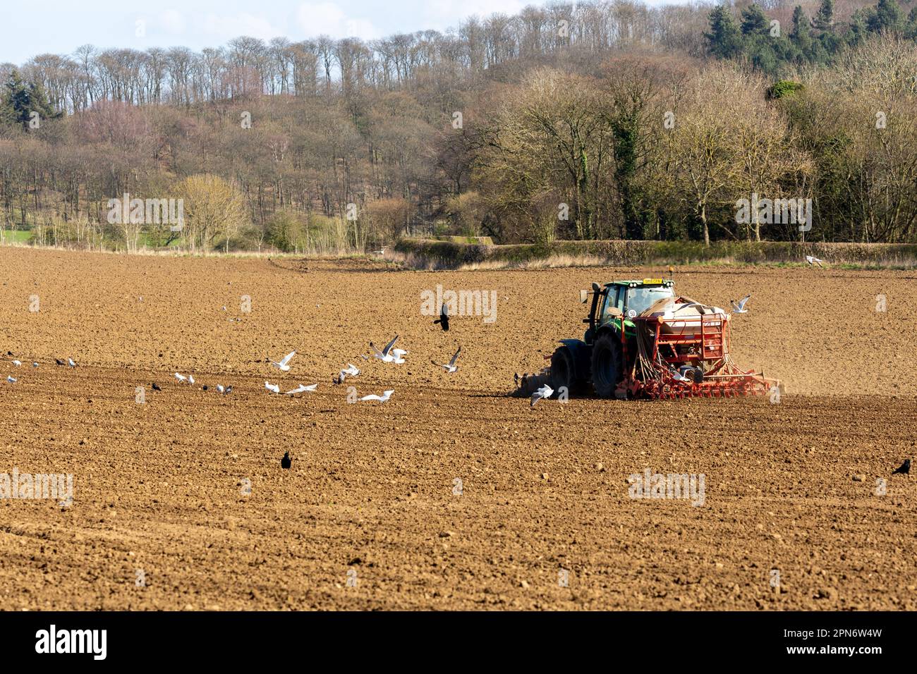 A tractor at work in a Scottish field Stock Photo
