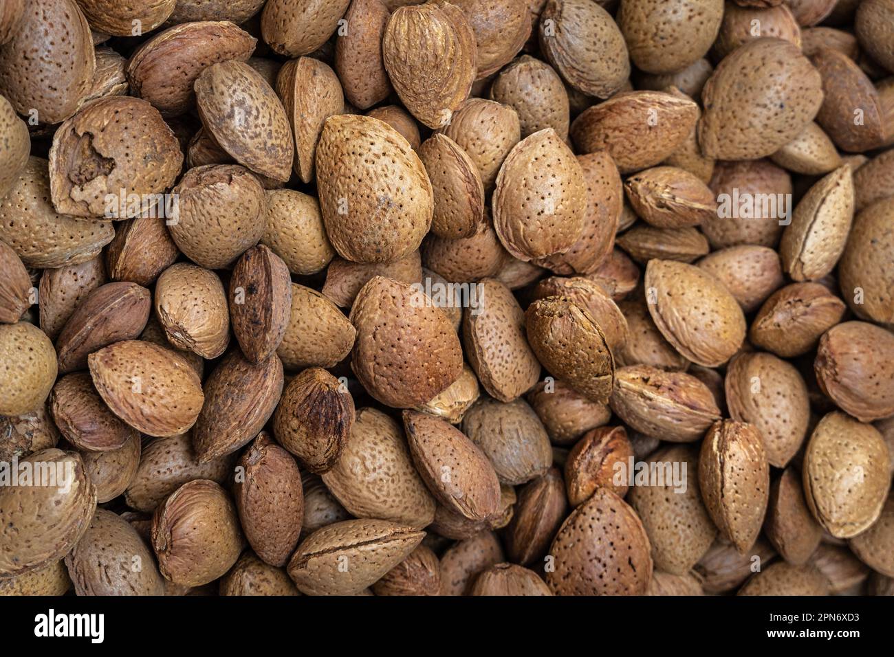 The almond is the edible seed of the almond tree. It is included in the list of traditional Italian food products. Abruzzo, Italy, Europe Stock Photo