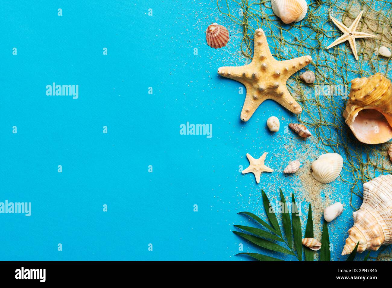 Summer time concept Flat lay composition with beautiful starfish and ...