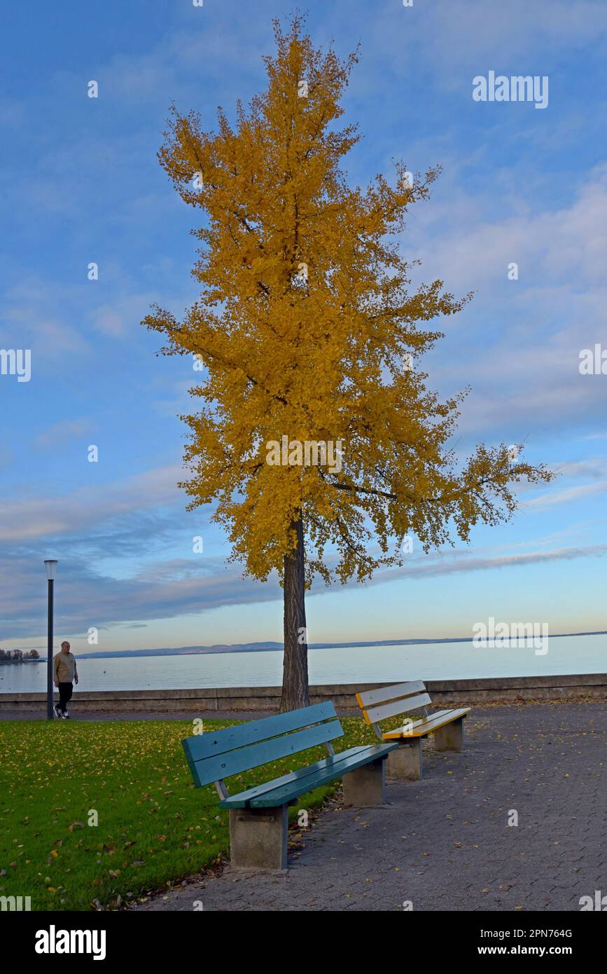 Man walks next hi-res stock photography and images - Alamy