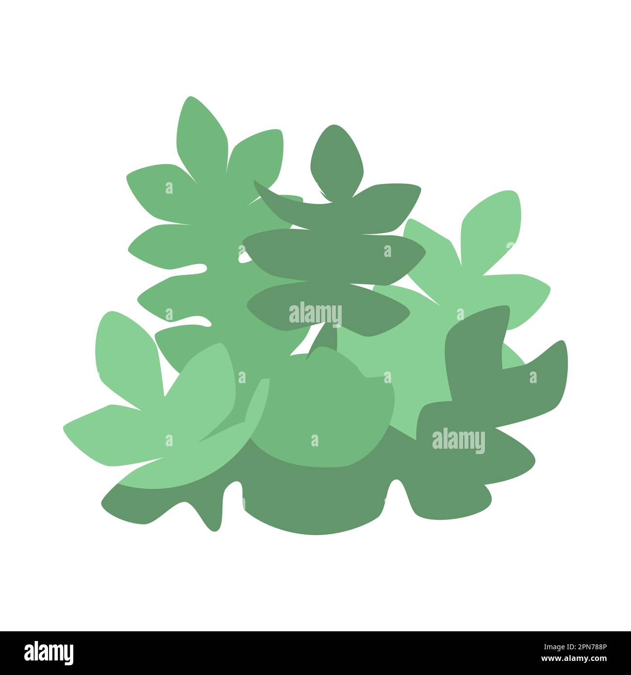 Pastel green succulent leaves isolated on white background Stock Vector