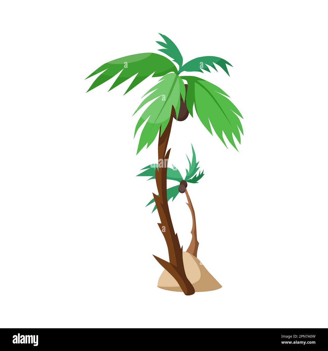 Palm trees with coconuts vector illustration Stock Vector