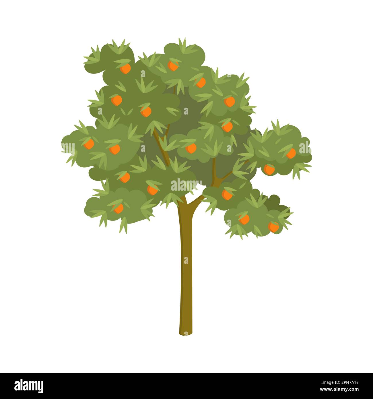 Tangerine tree with ripe fruits cartoon illustration Stock Vector Image